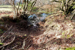 
The oldest of the Swffryd levels, January 2011